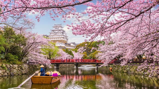 Japonya Vizesiz Seyahat Rehberi 2025: Türkiye'den Japonya’ya Nasıl Gidilir?